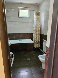 VILLA COMFORT DILIJAN - Dilijan - 7