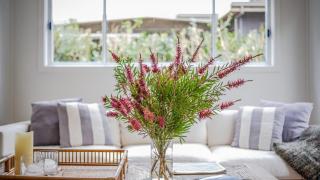 Plunge Pool and Flat 100m Walk To Beach - Macmasters Beach - 7
