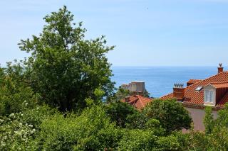 Evergreen Escape - Dubrovnik - 9