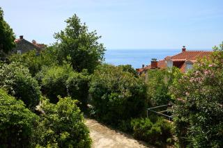 Evergreen Escape - Dubrovnik - 8
