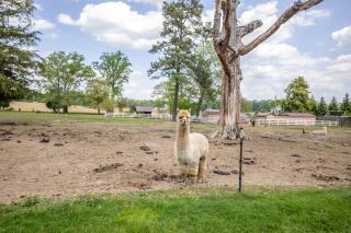 Hobbit House, one-of-a-kind home - 0