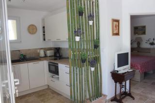 Appart T2 40 m² pleine campagne - Carpentras - 3