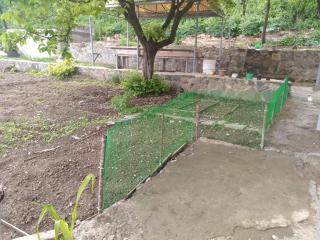 IDEA Guest House / ИДЕА гостевой дом - 2