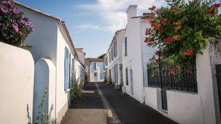 Studio les Chardonnettes - Saint Gilles Croix de vie - 1
