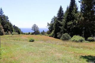 Sea Ranch - Sea Ranch - 4