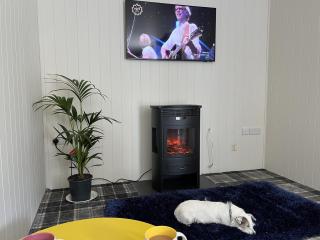 Pine Boutique Lodge with hot tub for couples & dog - York - 6