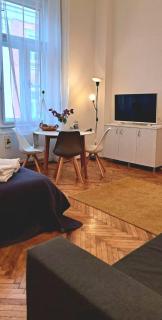 TRAVEL AND MUSIC APARTMENT - Timişoara - 4