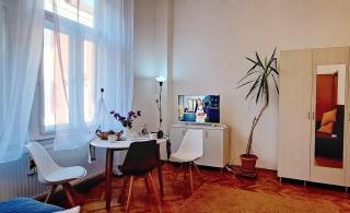TRAVEL AND MUSIC APARTMENT - Timişoara - 2