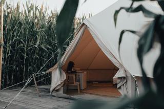 Glamping La Ferme - Ingelmunster - 5