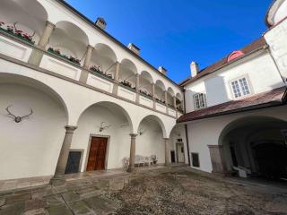 Charming Castle in Austria - Schwertberg - 8