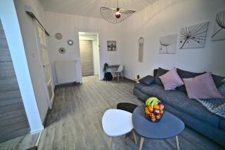 Bliss Insolite Jacuzzi Parking Free 5min du Centre - Mulhouse - 8