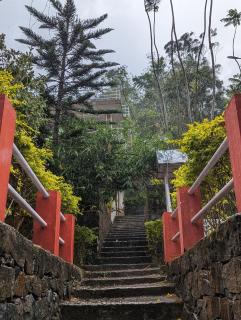 Ghar Homestay, Kotagiri - Kotagiri - 8