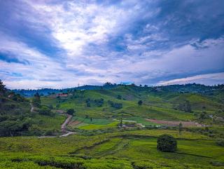 Ghar Homestay, Kotagiri - Kotagiri - 7