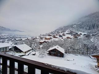Grand Vane 3 - Morzine - 5