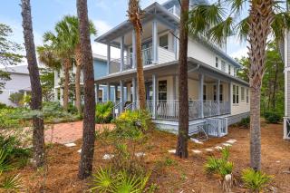 Palms and Pines - 5