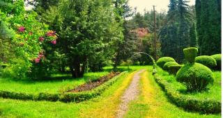 Sochiner guesthouse - Gyulagarak - 9