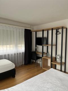 Hotel Europe Brig - Brig - 8