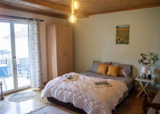 Villa Lakeview Paradise - Peštani - 8