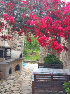 Dioni Villa - Sivota - 9