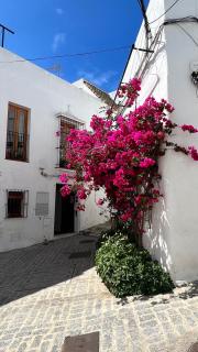 Suite Buganvilla Vejer - Vejer de la Frontera - 9