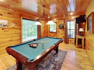 Bears Repeating - Gatlinburg - 9