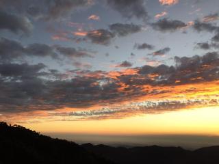 The Cloudberry Kasauli I Couple Friendly I Pvt Balcony I Open Air Terrace I Serviced Villa I Bonfire I Kasauli By Exotic Stays - Kasauli - 5