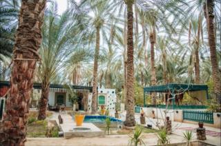 La Villa Enchantée - Tozeur - 9