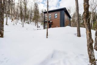 Les aurores - Harrington - 8