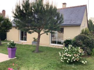 Maison indépendante et privative 52m2 au calme - Cléré-les-Pins - 8
