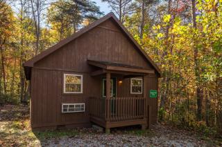 Blue Rose Cabins - Naughty Pine Cabin - Logan - 9