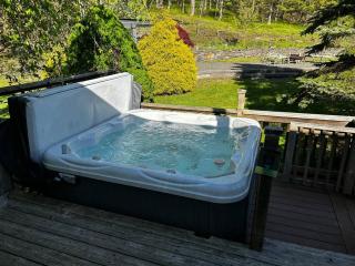 Woodland Whimsy a private escape, hot tub, pool, sunroom - Saugerties - 3