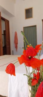 Idayvuelta Home & Suites with private pool - Ses Salines - 3