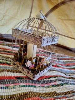 French Tent secret garden glamping - Newark upon Trent - 4