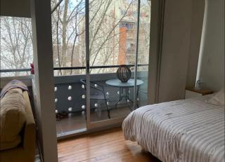 Very Nice Apartment in Palermo Hollywood - Buenos Aires - 7