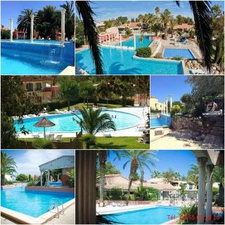 Appartement Canet-en-Roussillon 35 m² avec piscine partagée - 3