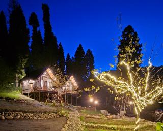 Solomons Gray - Tangmarg - 7