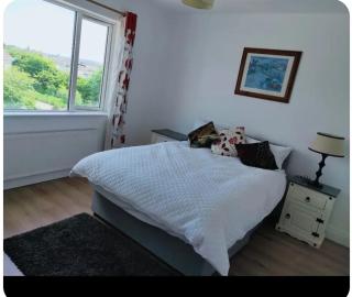 Town Center 3Room House free parking - Letterkenny - 9