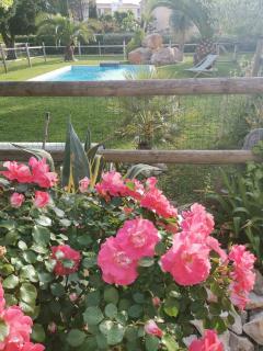 Mas provençal cosy avec piscine dans le Sud ! - Courthézon - 4