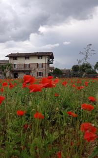 CASAL MICELIO - Udine - 8