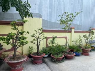 NHÀ NGHỉ HẬU NHI - - 5