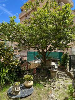 Appartement avec jardin - Le Citronnier - 2