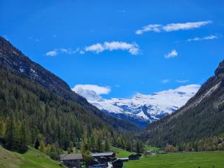 Apartment Klein Matterhorn - Haus Miranda - Täsch - 9
