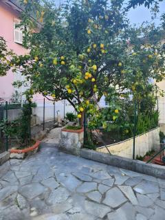 Appartement avec jardin - Le Citronnier - 0