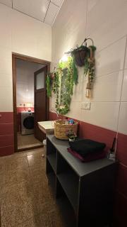 Loft Apartments - 1