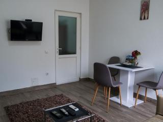 Cozy spacious apartment - Peje - 8
