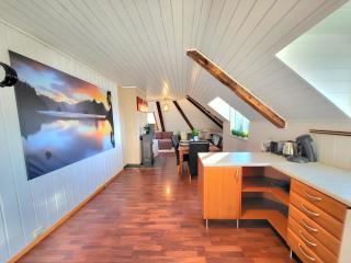 Sunset Penthouse, Fjord View & Parking - Trondheim - 5