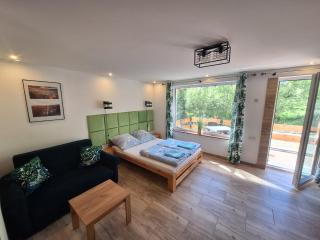 Apartament z tarasem nad strumykiem - Duszniki Zdrój - 1