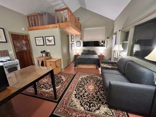 COZY PEACEFUL WILLOW CREEK CABIN - Crestone - 3