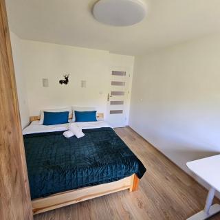 Apartament Panorama 5 7 - Polańczyk - 4