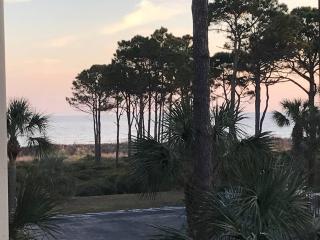 Sandy Feet Retreat-New Shower-Steps to the ocean - Hilton Head Island - 0